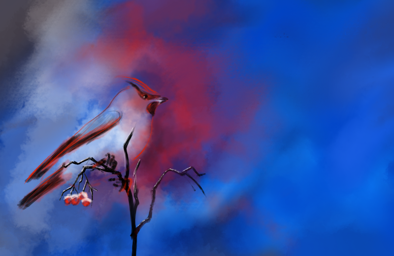 Winterbird